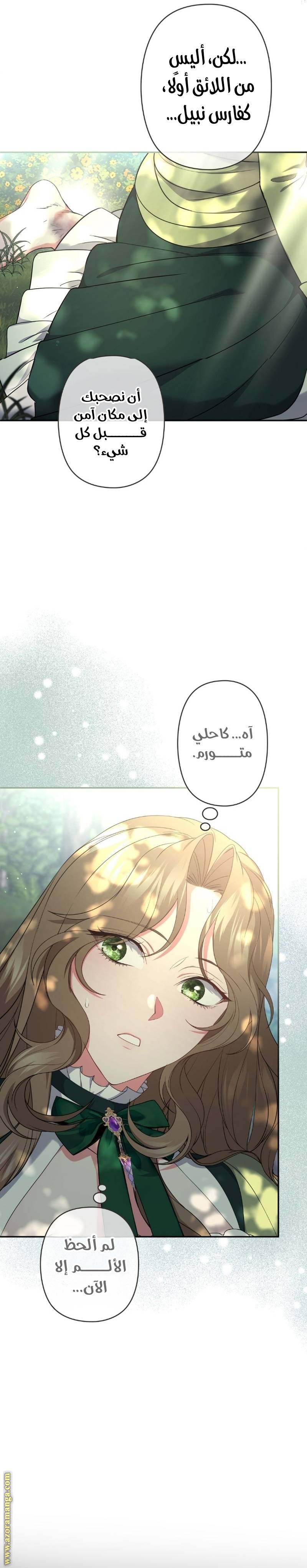 الصفحة 30