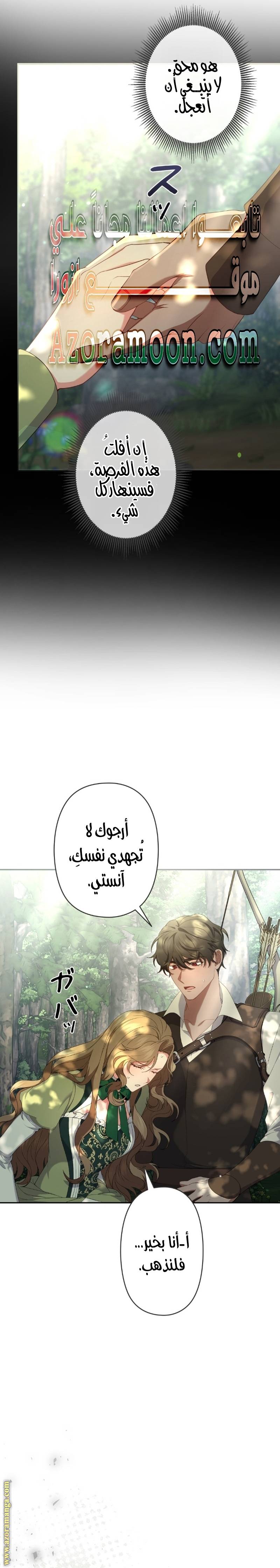 الصفحة 31