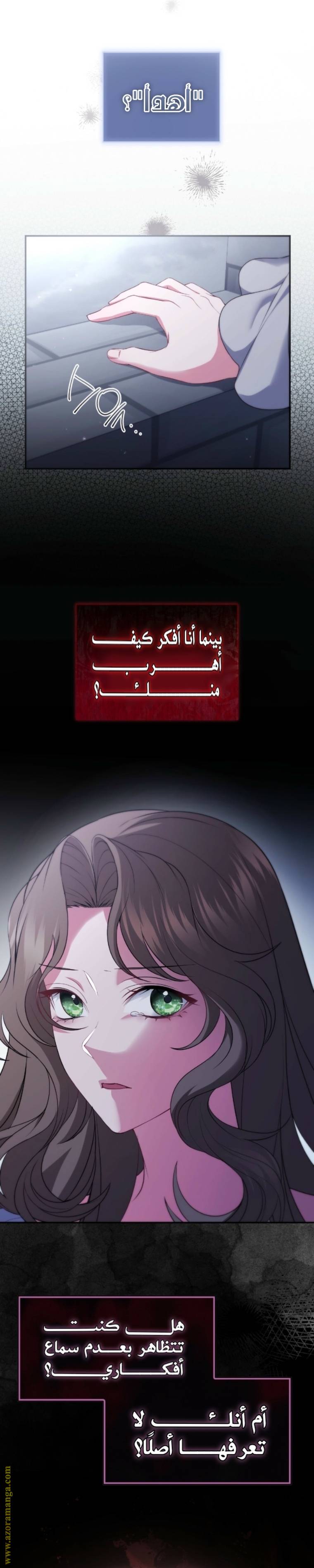 الصفحة 21
