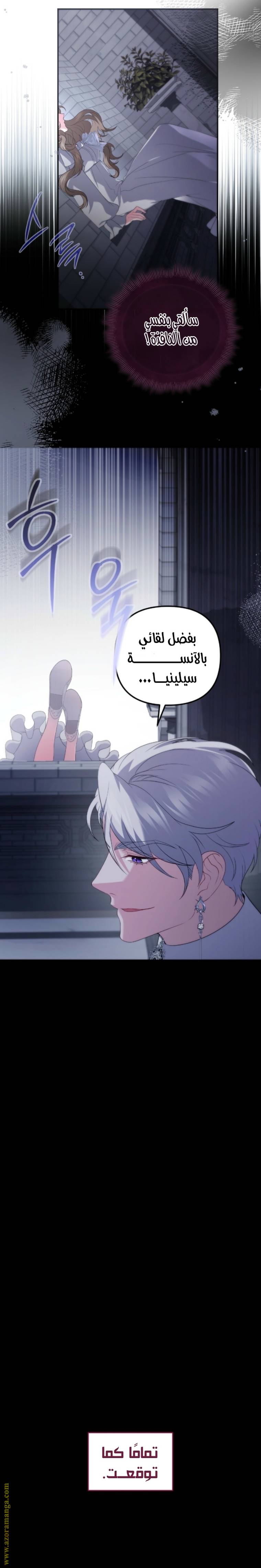 الصفحة 25