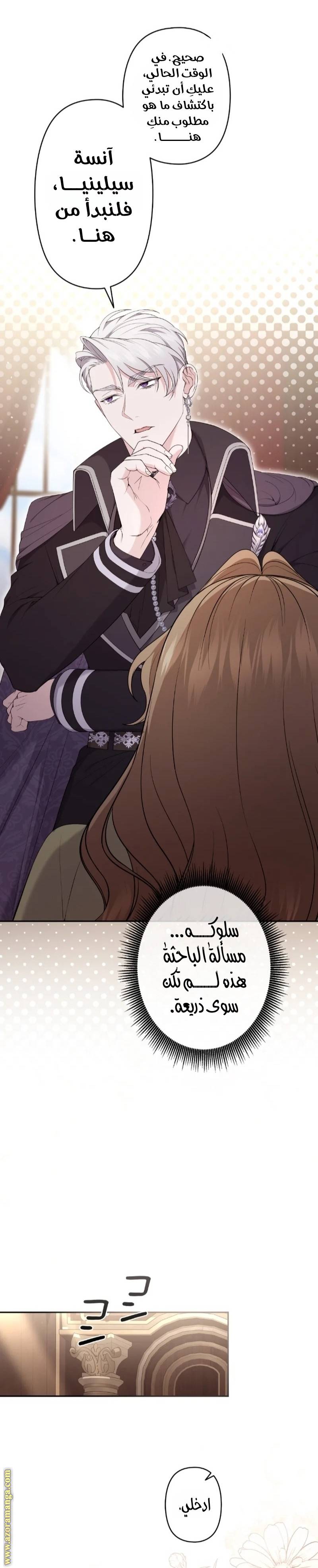 الصفحة 19