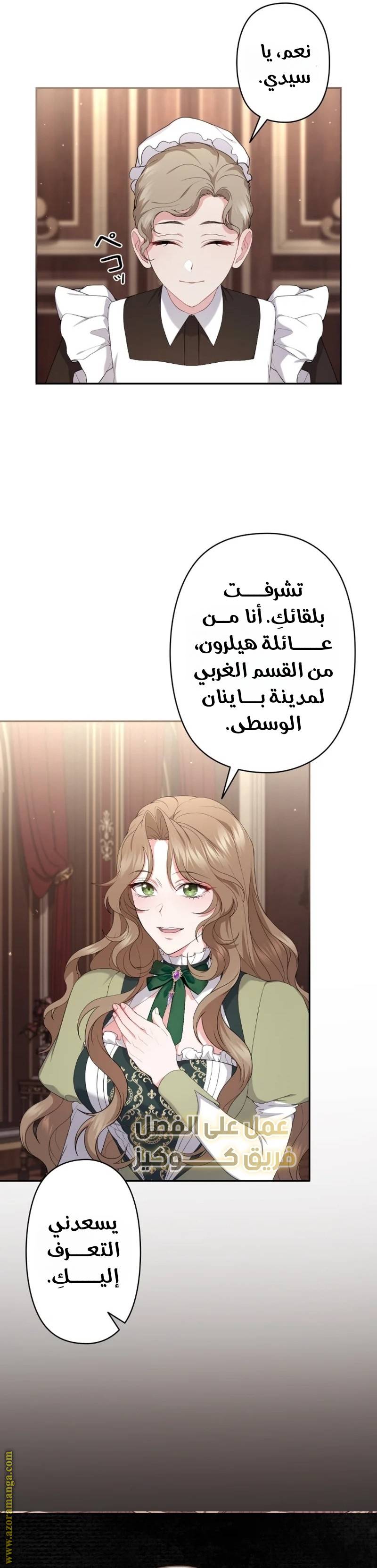 الصفحة 21