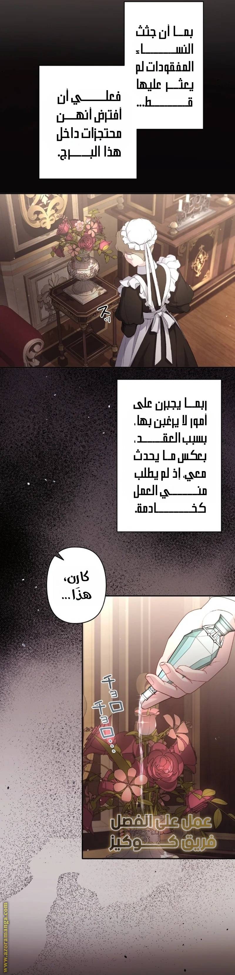 الصفحة 25