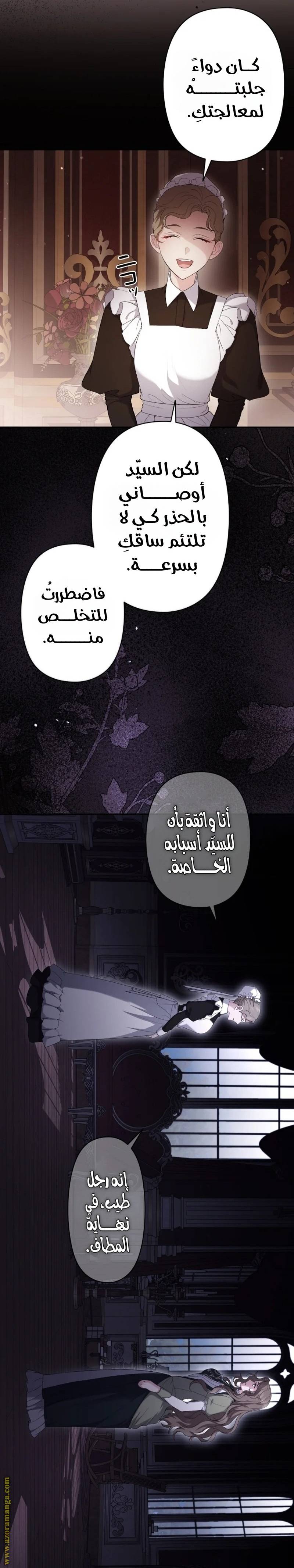 الصفحة 26