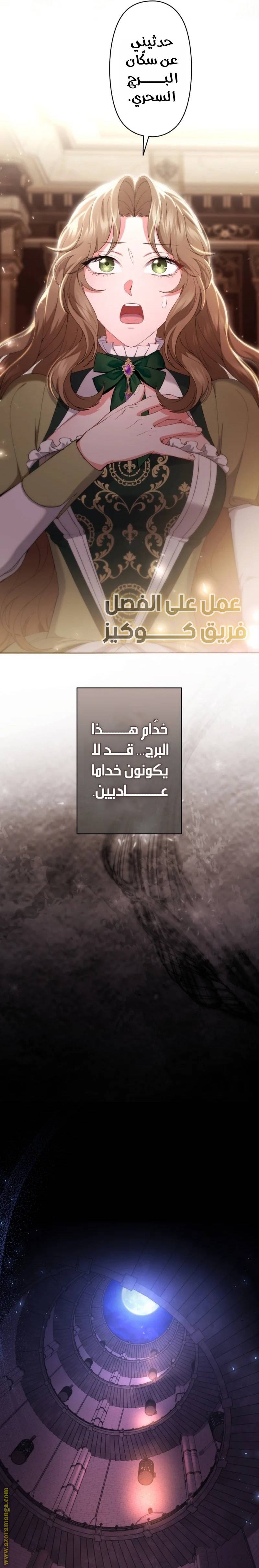 الصفحة 29