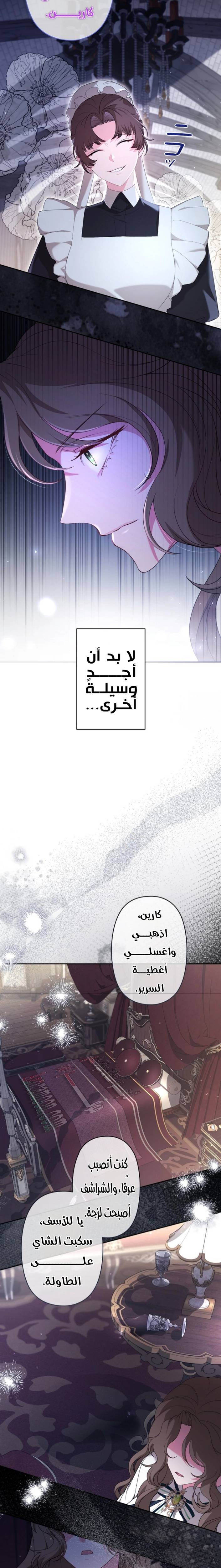 الصفحة 15
