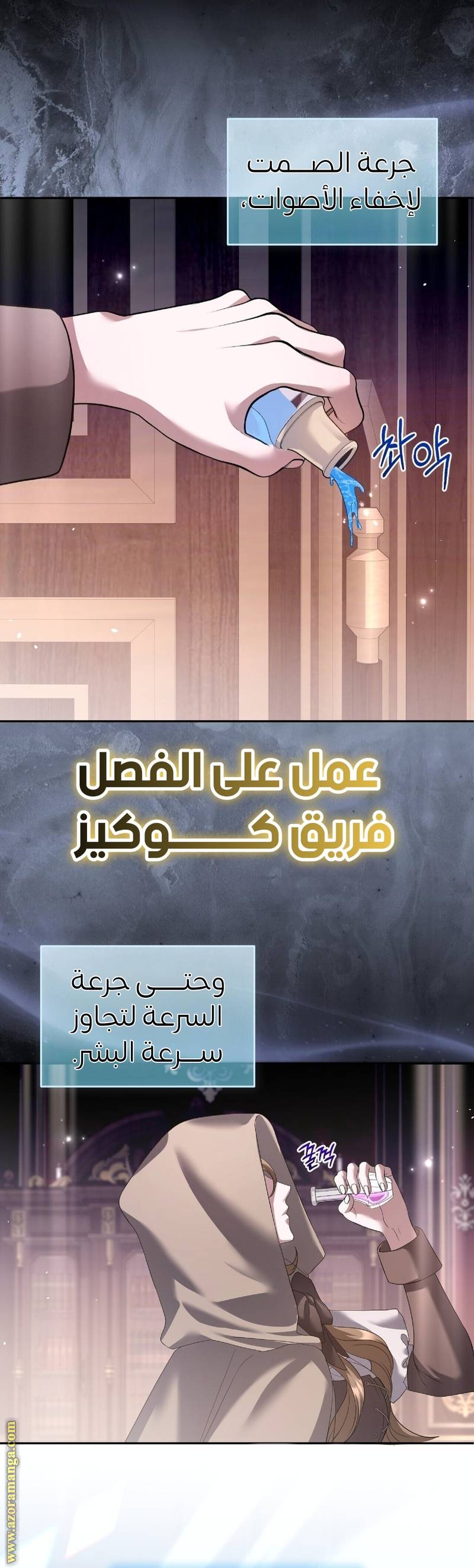 الصفحة 13