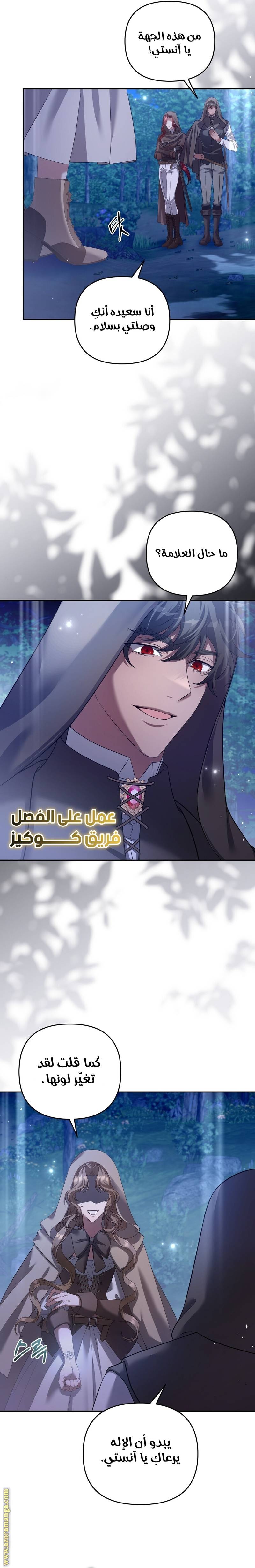 الصفحة 17