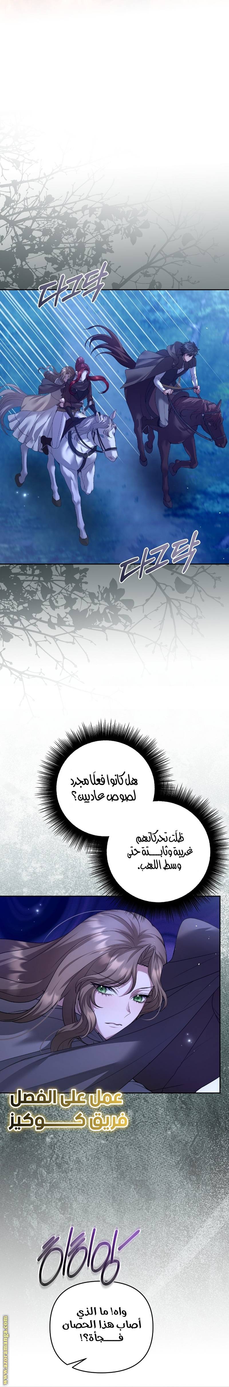 الصفحة 28