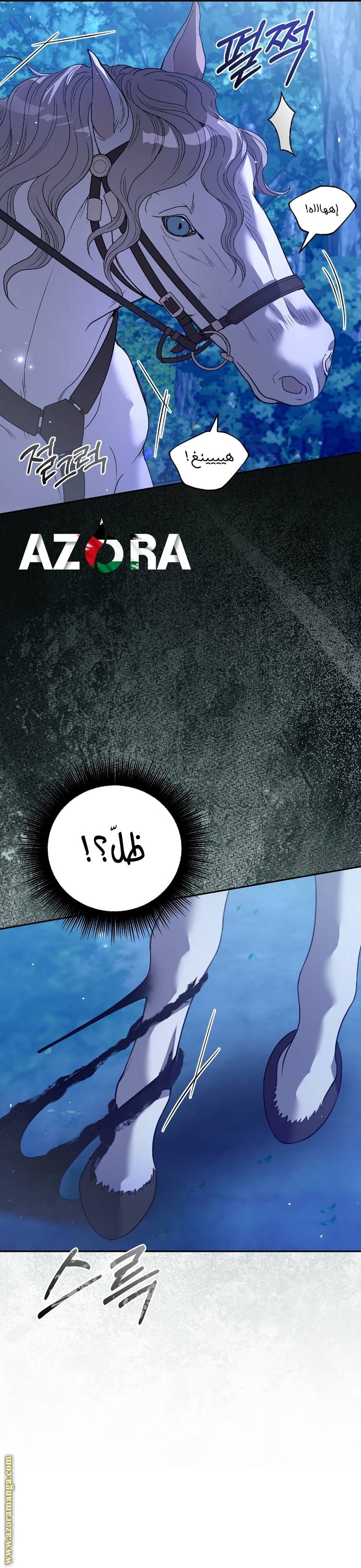 الصفحة 29