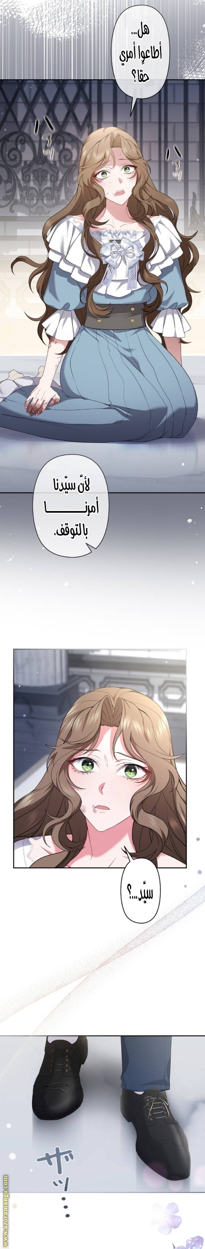 الصفحة 11