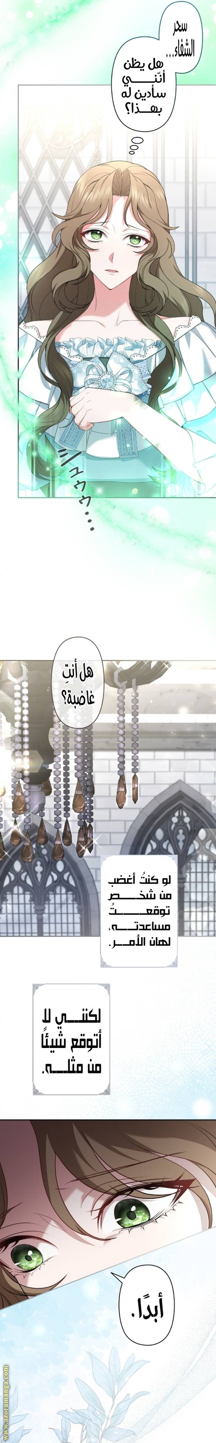 الصفحة 13
