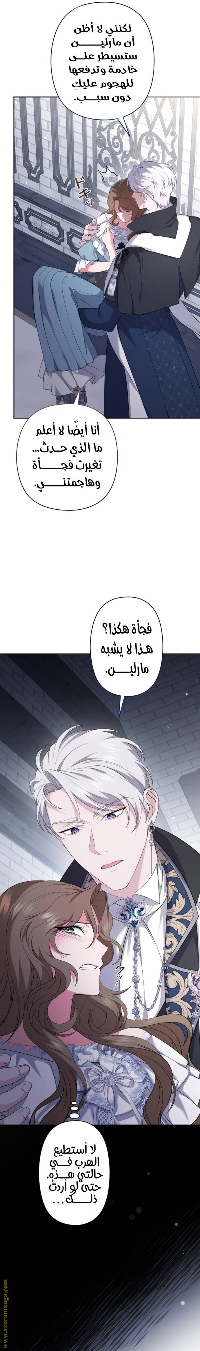 الصفحة 17