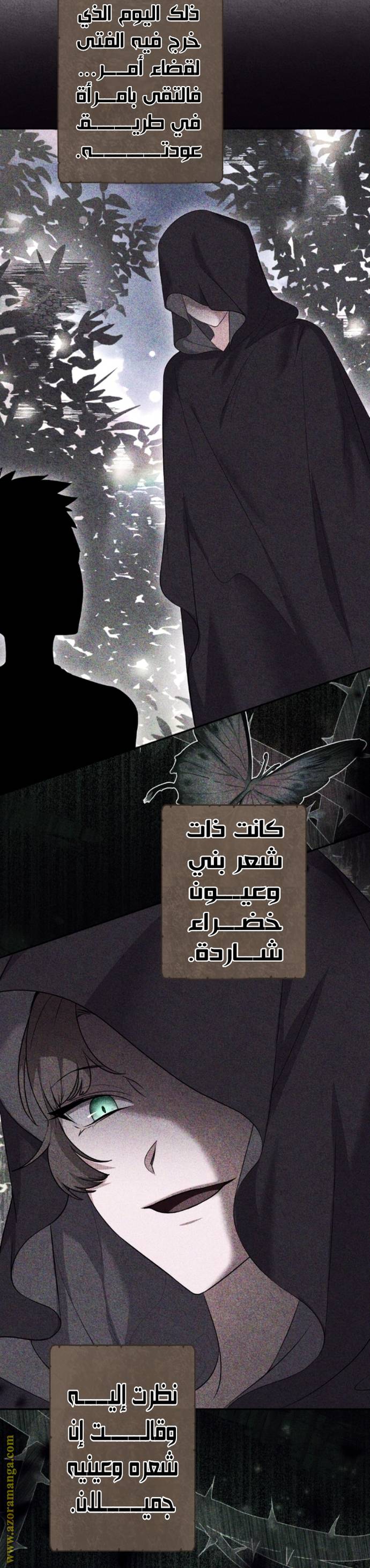 الصفحة 25