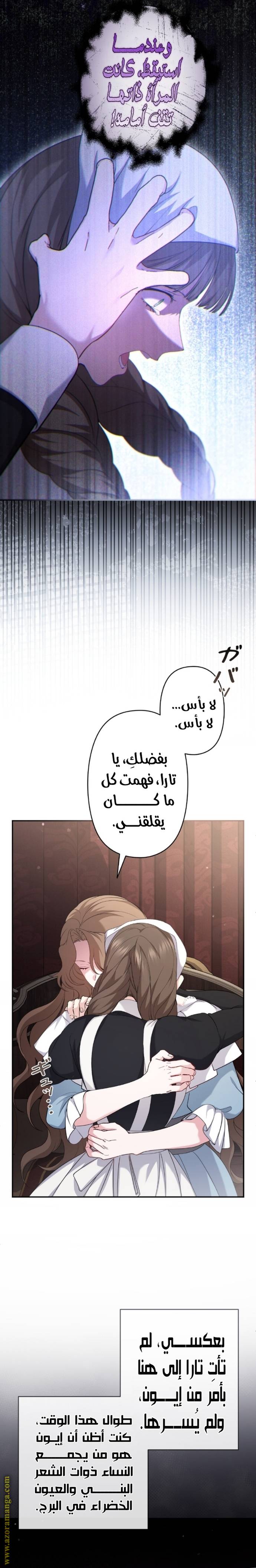 الصفحة 27