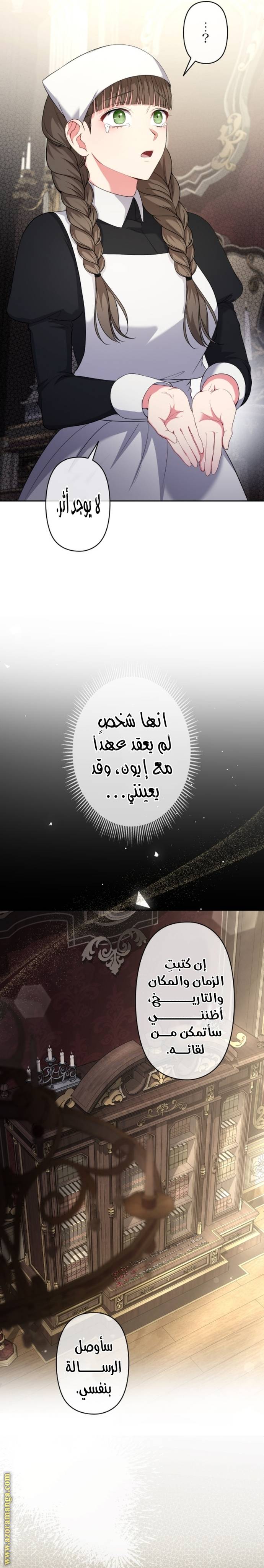 الصفحة 29