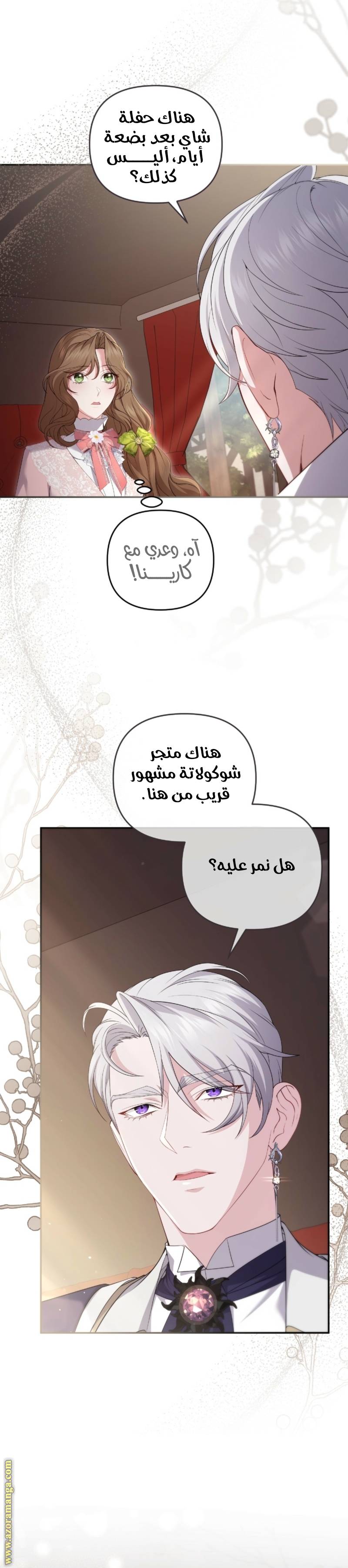 الصفحة 25