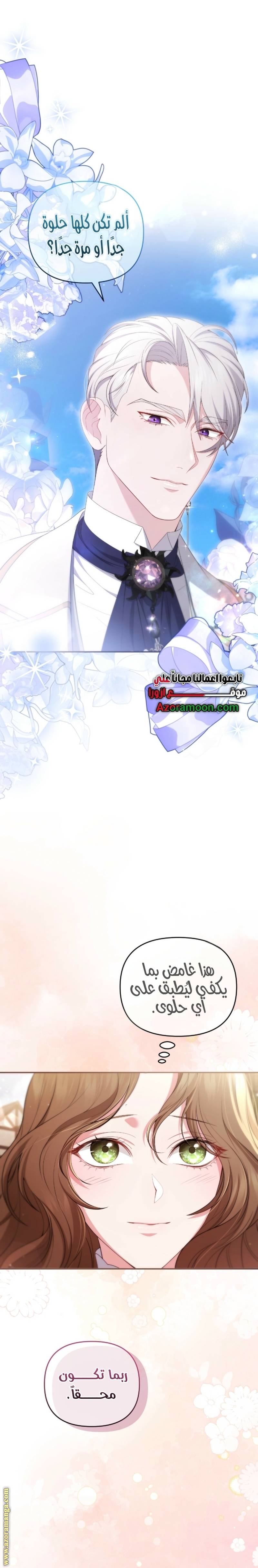 الصفحة 29