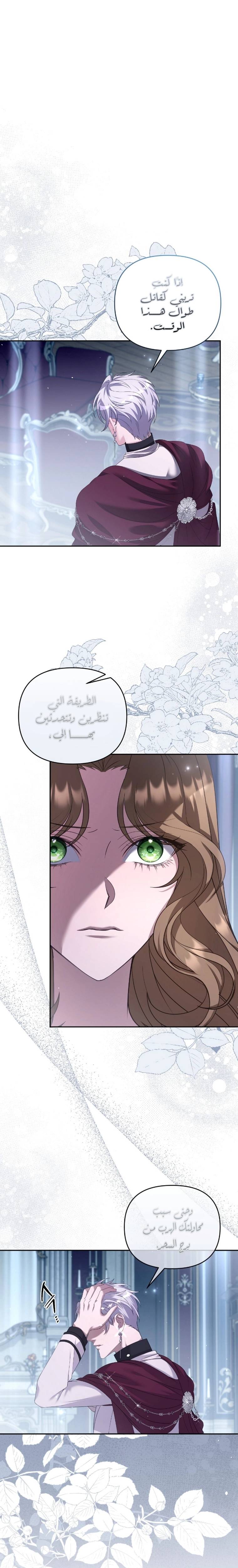 الصفحة 17