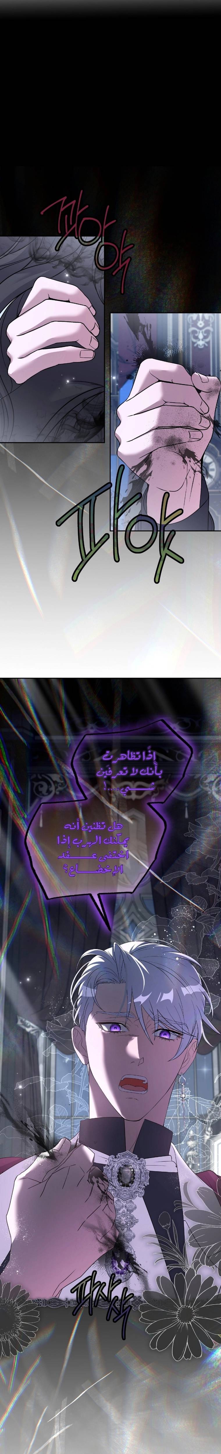 الصفحة 21