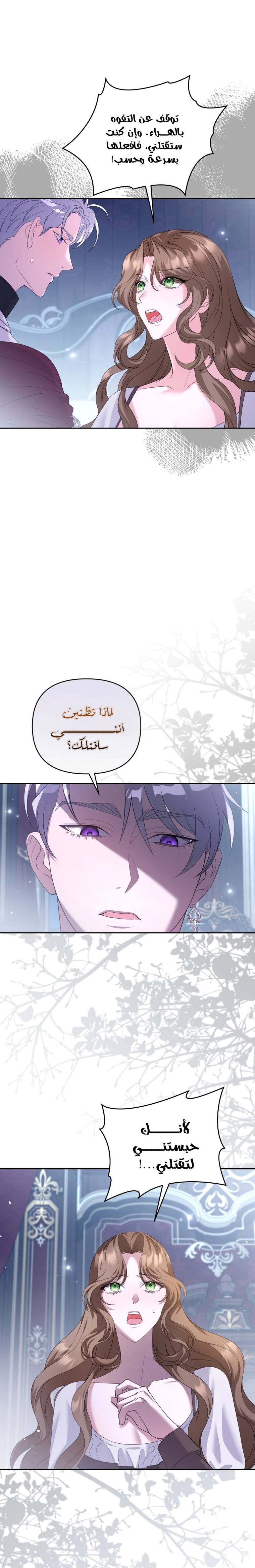 الصفحة 26