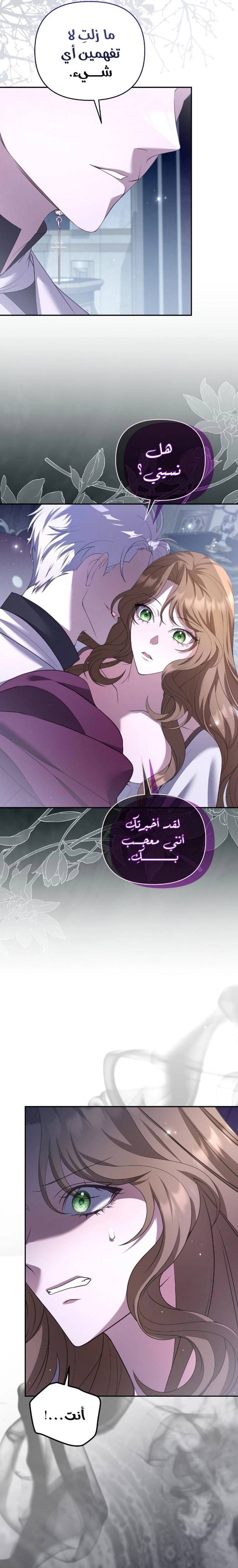 الصفحة 27