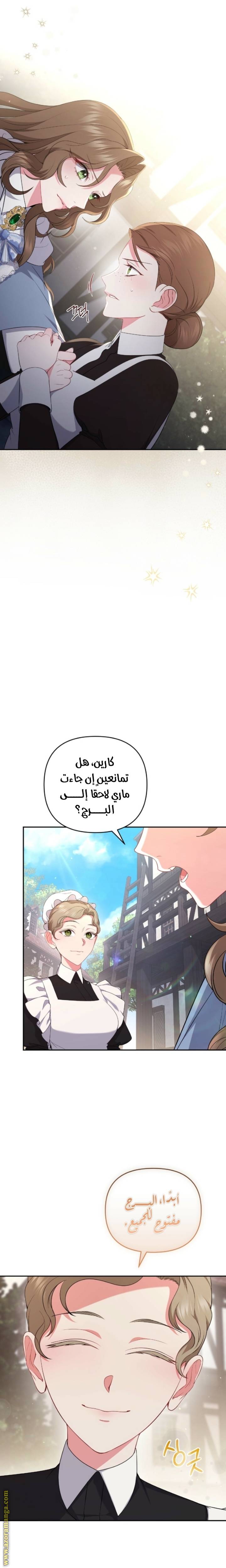 الصفحة 13