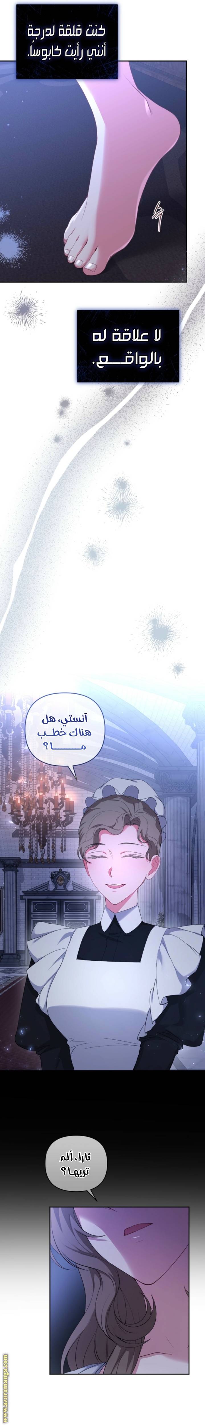 الصفحة 24