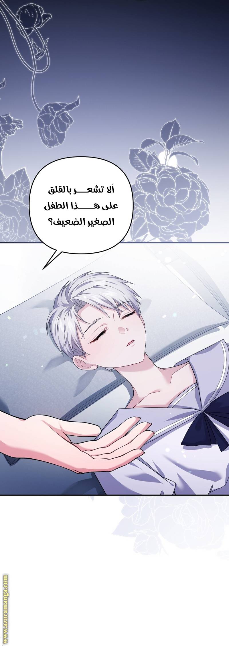 الصفحة 5
