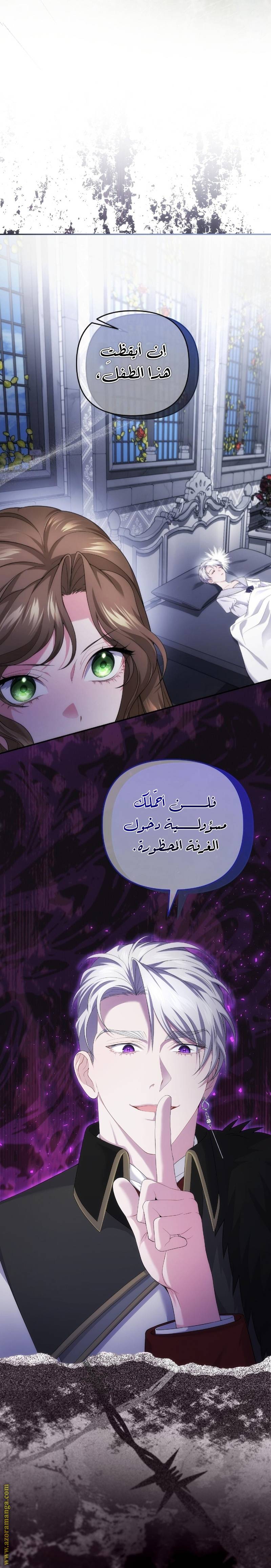 الصفحة 17
