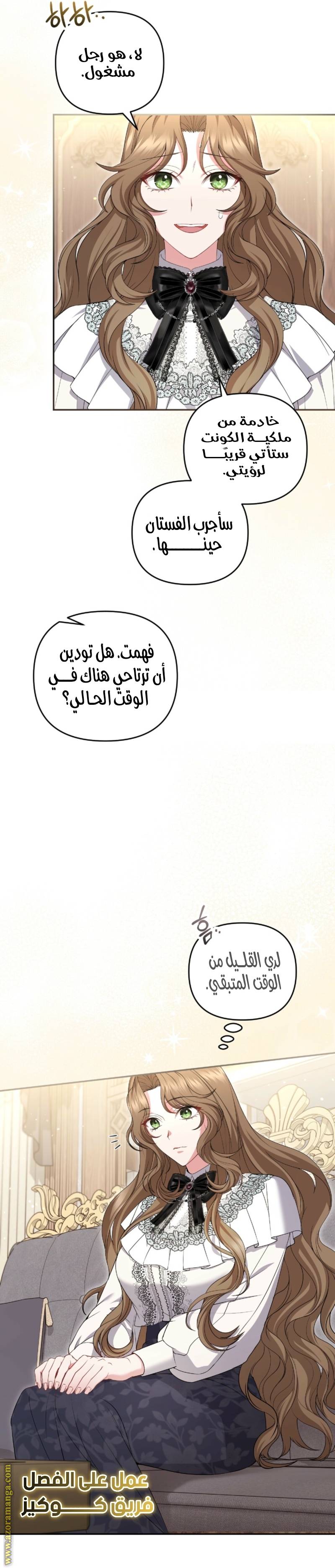 الصفحة 17