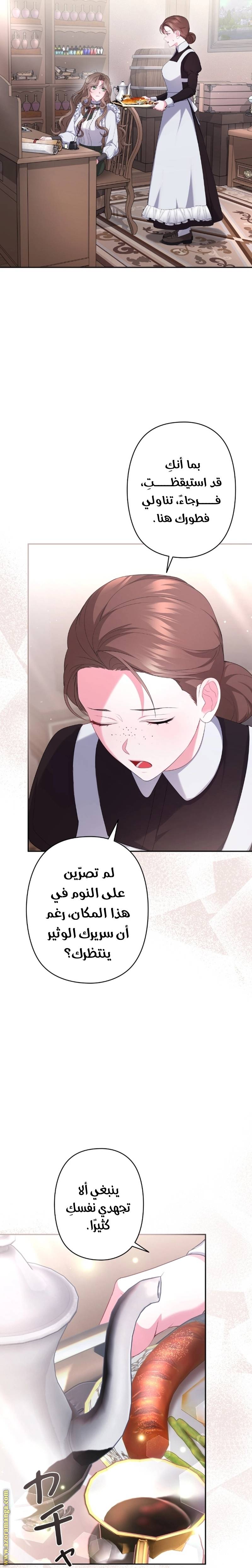 الصفحة 17