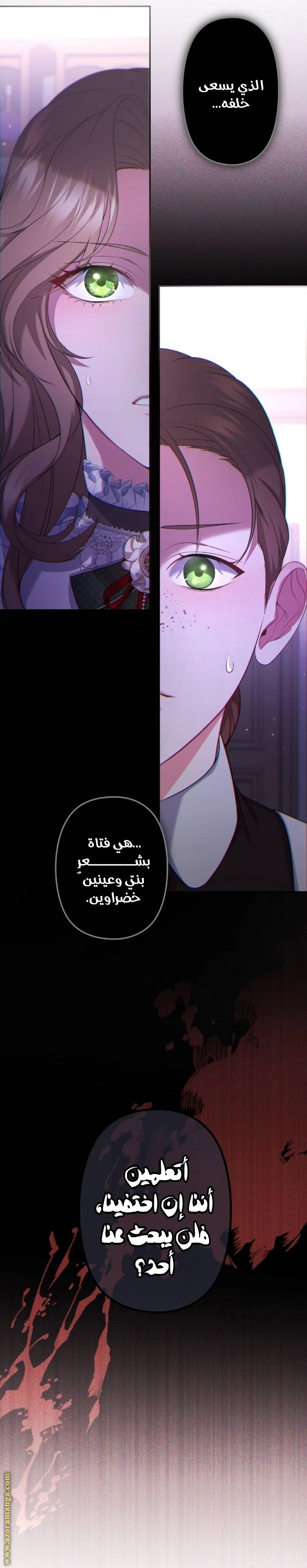الصفحة 21