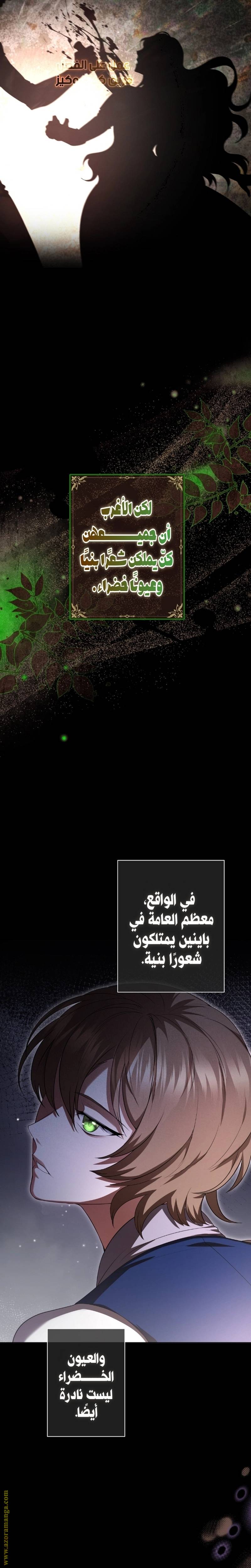 الصفحة 24