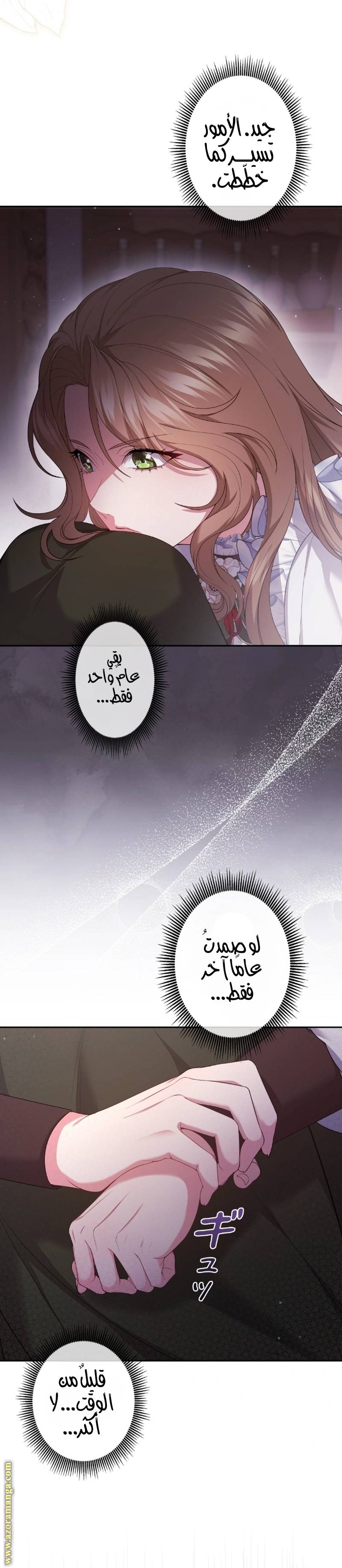 الصفحة 31