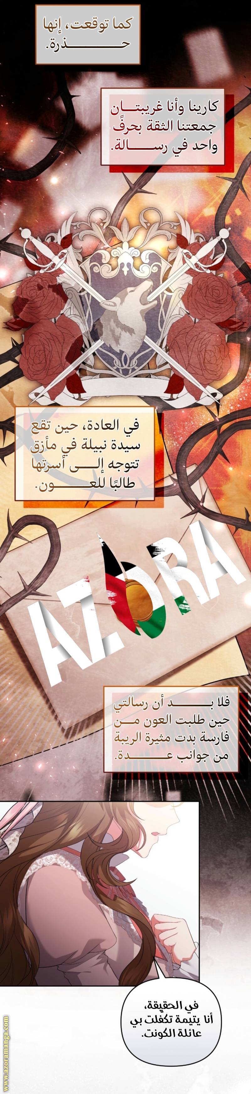 الصفحة 13