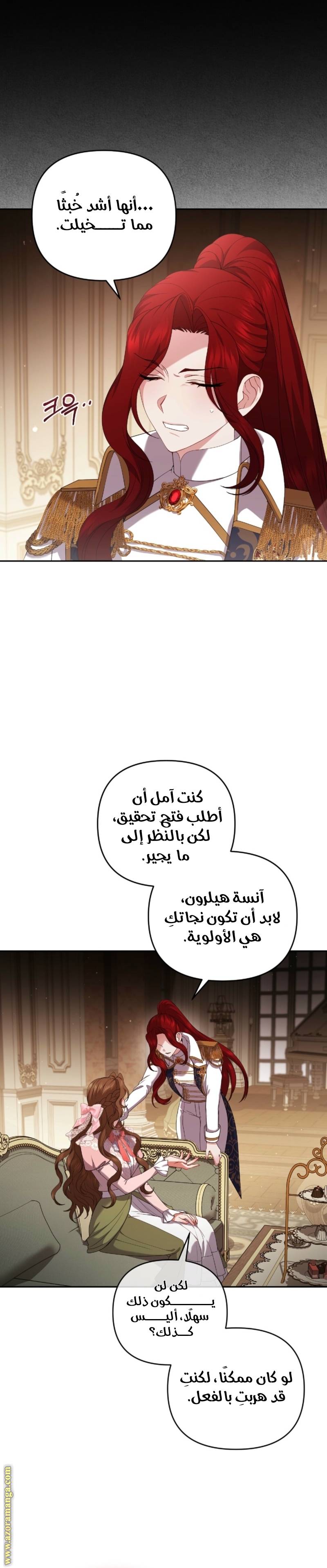 الصفحة 17