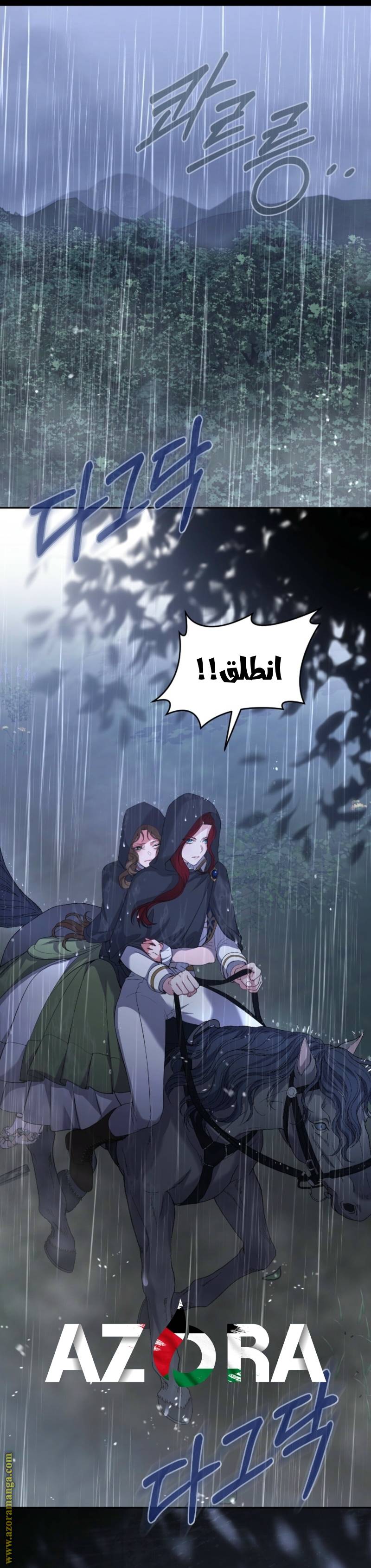 الصفحة 25