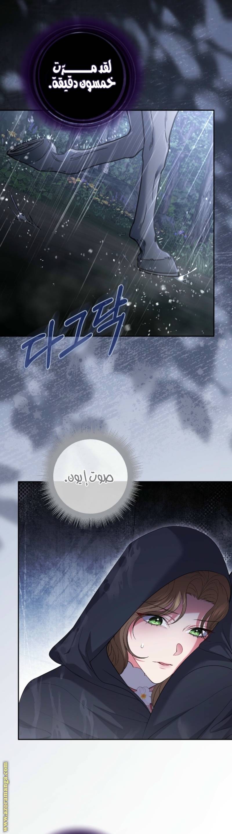 الصفحة 26