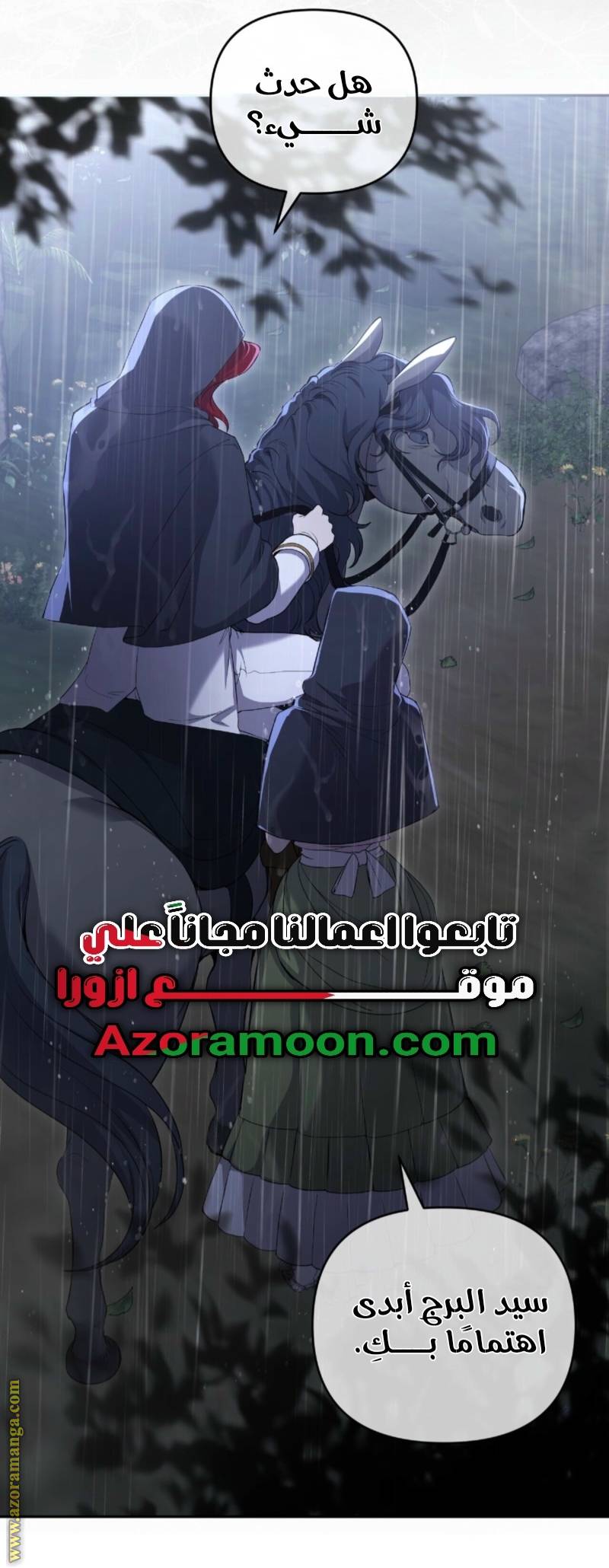 الصفحة 29