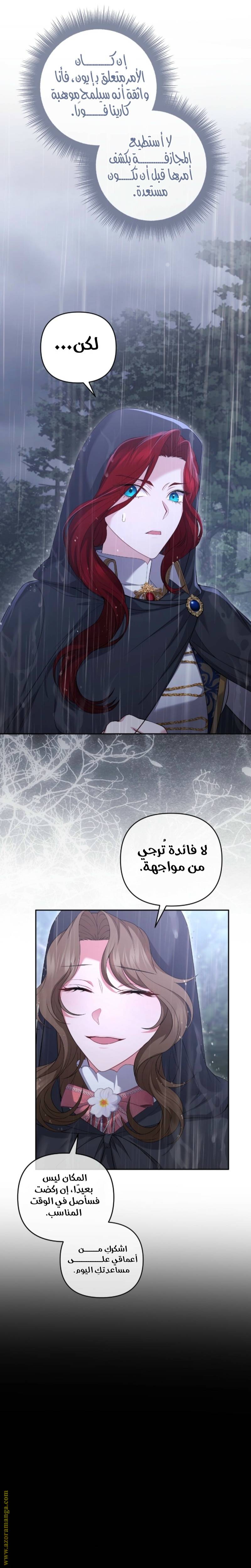 الصفحة 30