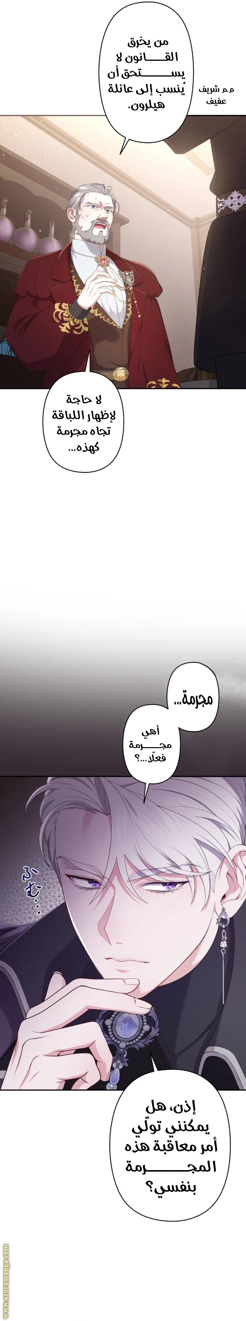الصفحة 12