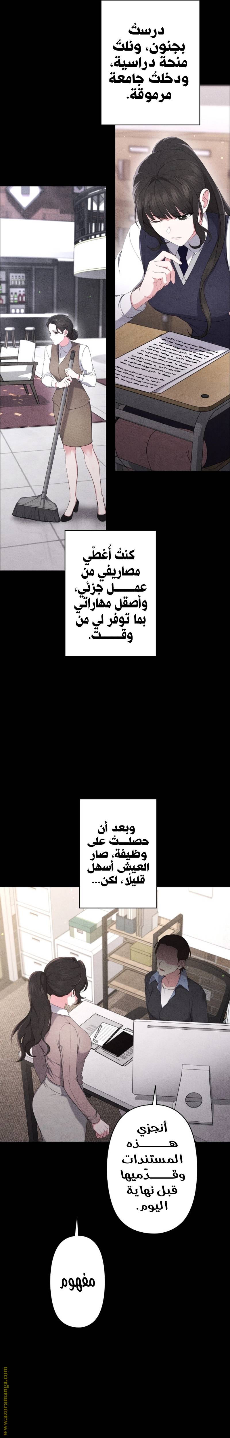 الصفحة 16