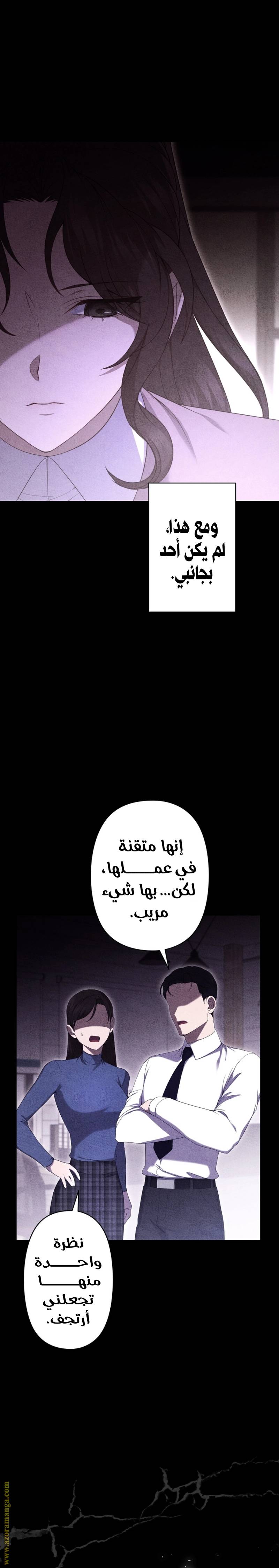 الصفحة 17