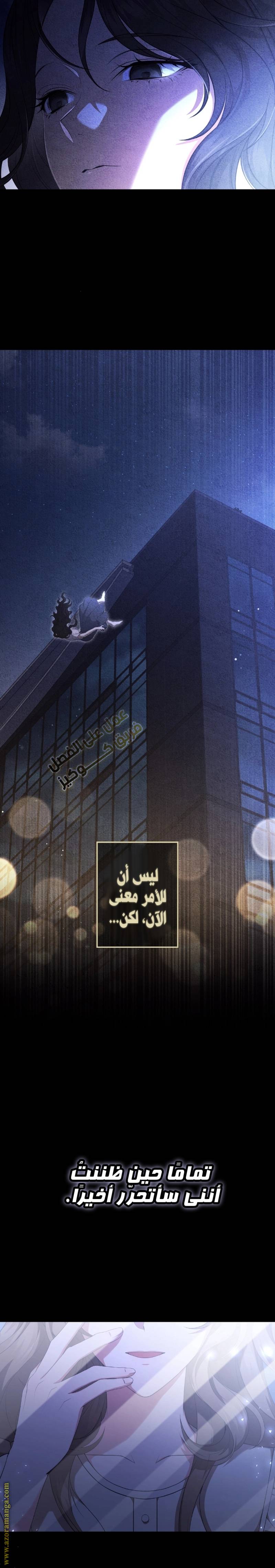 الصفحة 20