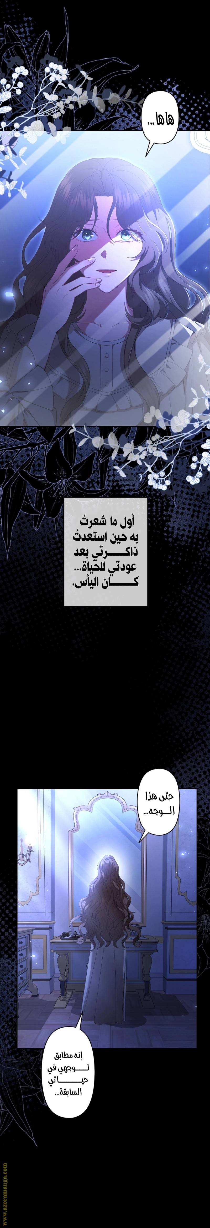 الصفحة 21