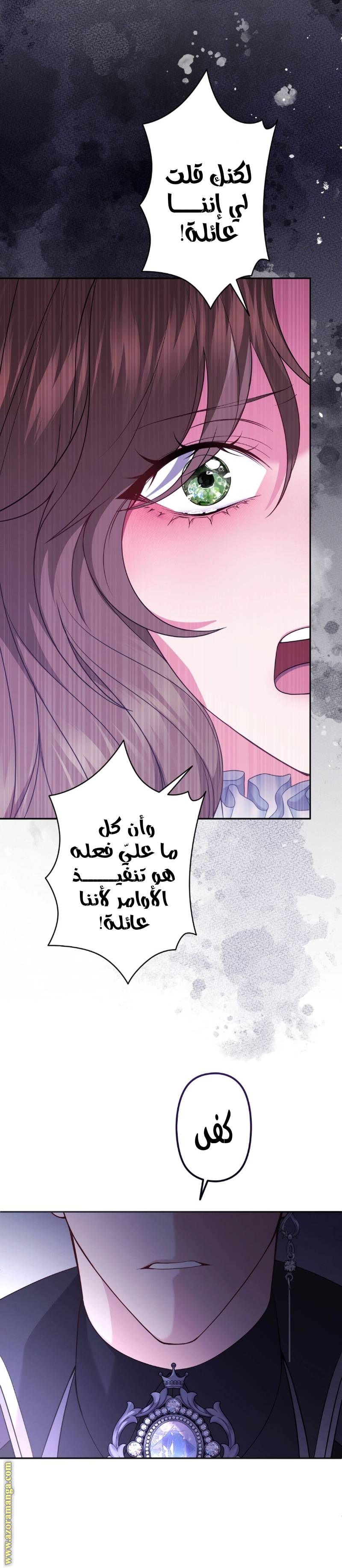 الصفحة 25