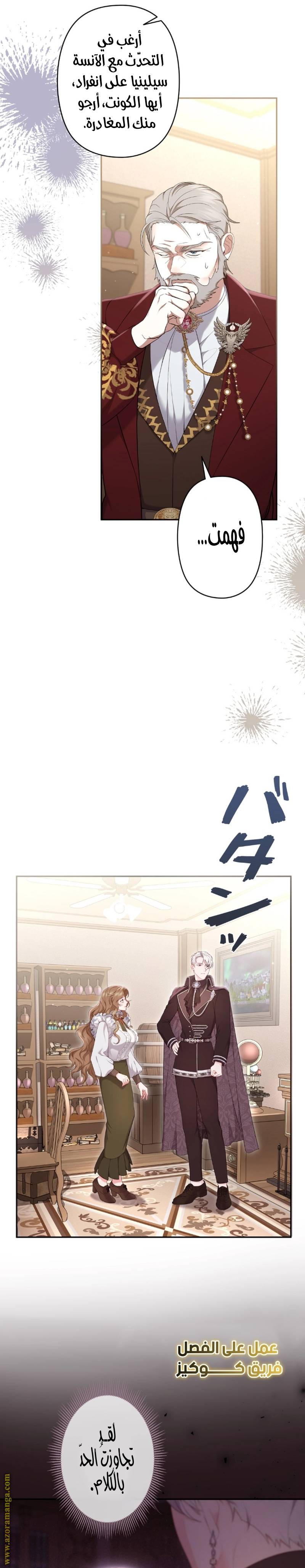 الصفحة 26