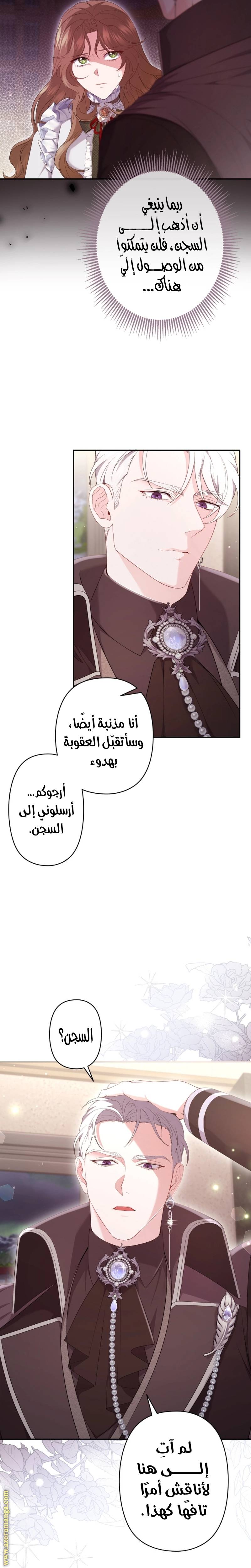 الصفحة 27