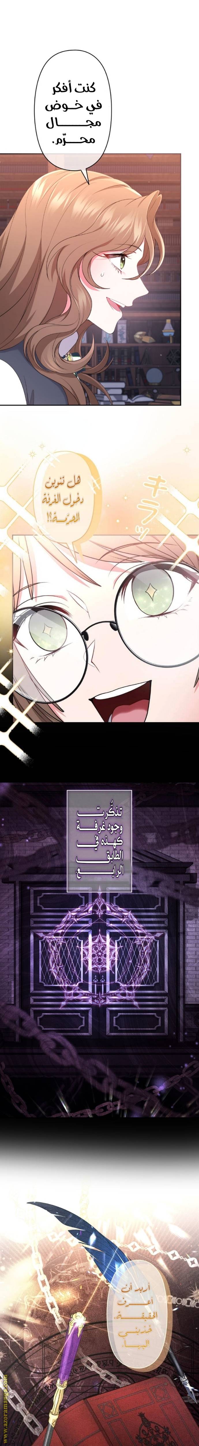 الصفحة 17